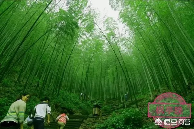 湖北鄂州有哪些值得一游的旅游景点?