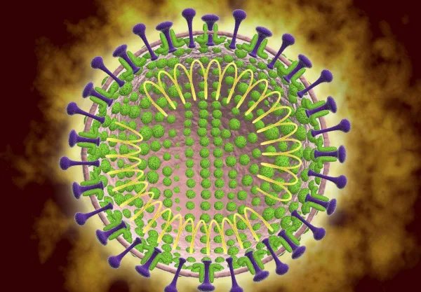 新型肺炎蔓延全国，它的传染性到底有多强？