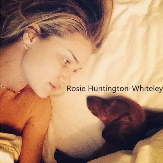 全球女星素颜大PK图赏 只有真女神敢晒素颜照！