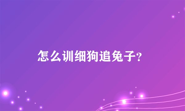 怎么训细狗追兔子？
