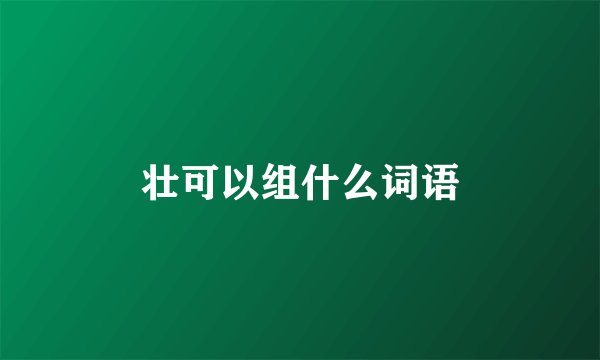 壮可以组什么词语