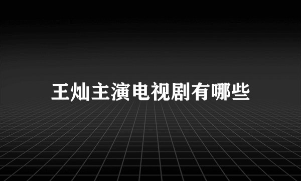 王灿主演电视剧有哪些