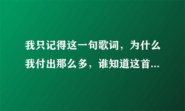 我只记得这一句歌词，为什么我付出那么多，谁知道这首歌的歌名