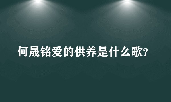 何晟铭爱的供养是什么歌？