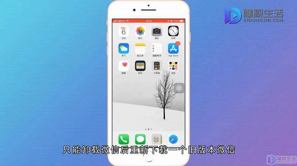 微信群拍了拍功能怎么用