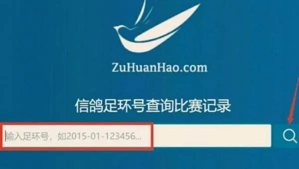 免费查询信鸽足环号