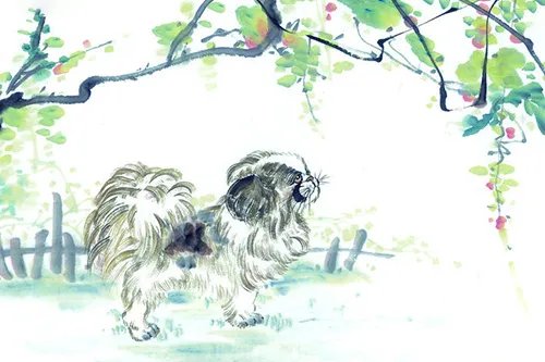 属狗2020年运势及运程 属狗的人2020年全年运势