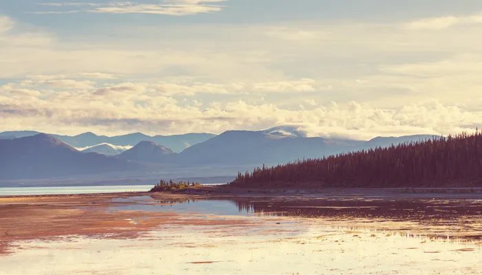 美国高中生出国留学条件