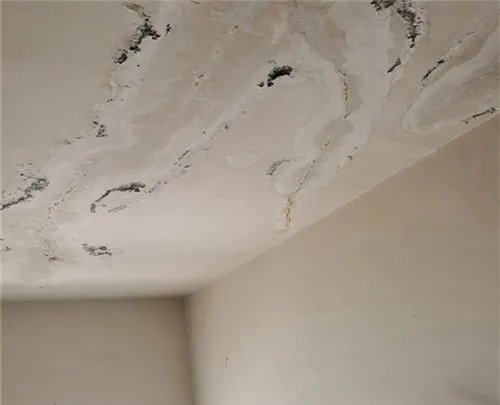 楼房漏水怎么测哪里漏