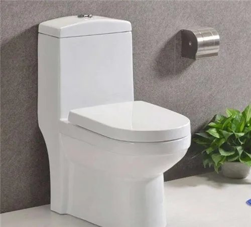 蹲改坐用哪种马桶