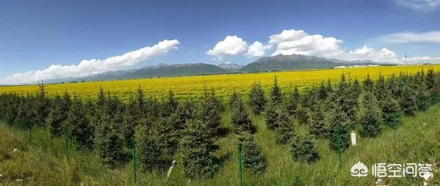 八九月份适合去哪里旅游？