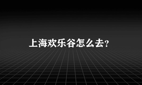 上海欢乐谷怎么去？