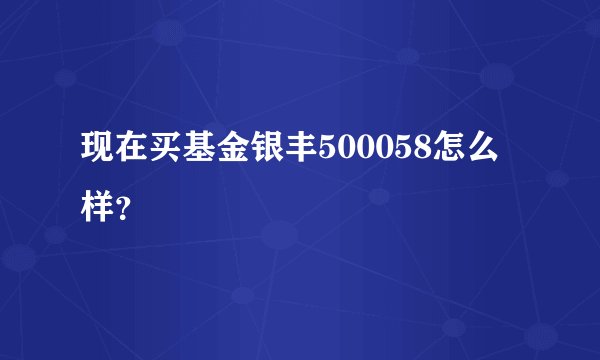 现在买基金银丰500058怎么样？