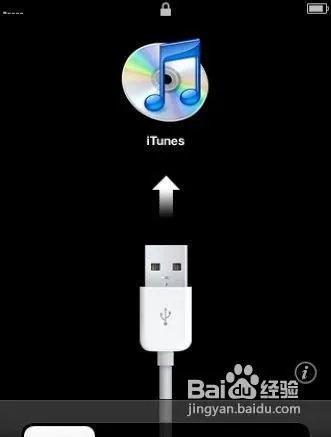 怎么修复白苹果