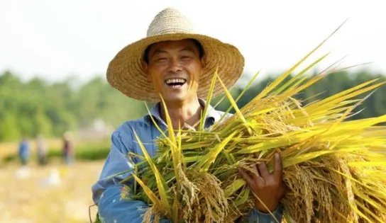 王福重说农民没有贡献,出大力流大汗是种懒惰和愚蠢,你怎么看?