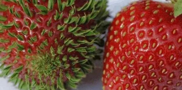 核武器威力到底有多大，核污染究竟是怎样的呢？