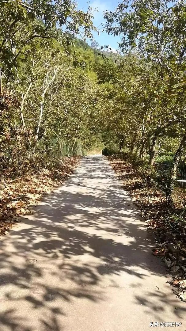 国庆长假,你们打算加班还是放假去城市周边旅游呢?