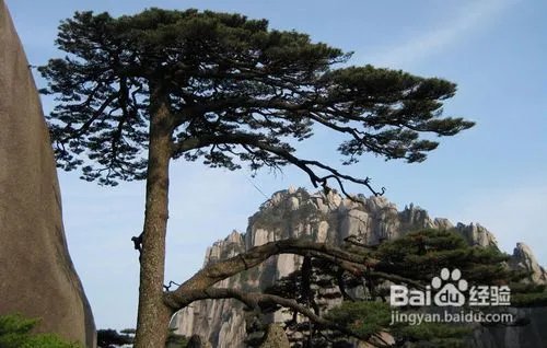 十一黄山旅游攻略