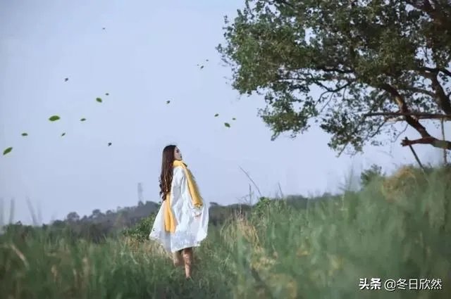 为什么现在有的学生喜欢假装自己「不努力」？