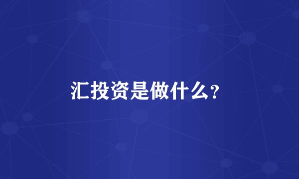 汇投资是做什么？