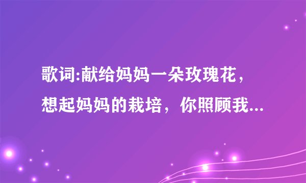 歌词:献给妈妈一朵玫瑰花，想起妈妈的栽培，你照顾我身体永健也关心灵魂生命？