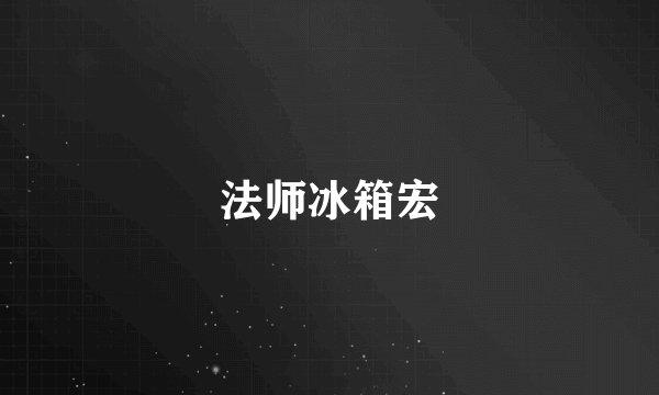 法师冰箱宏