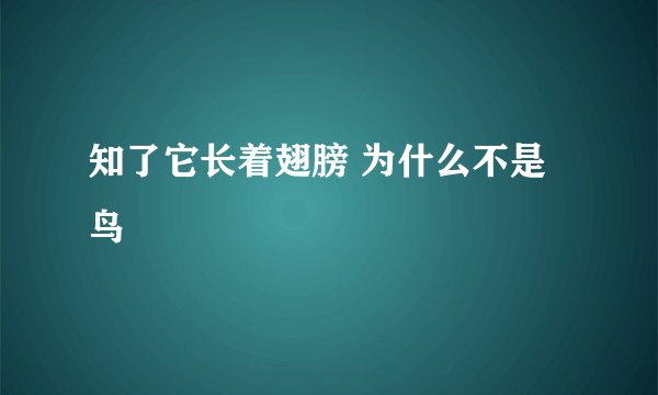 知了它长着翅膀 为什么不是鸟