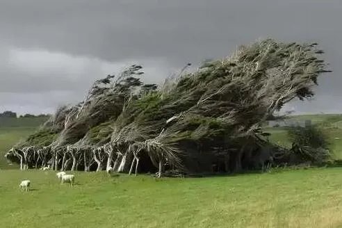 好看的锁屏壁纸有可以分享的吗？