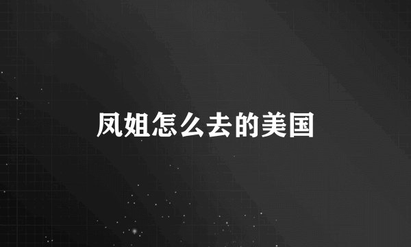 凤姐怎么去的美国