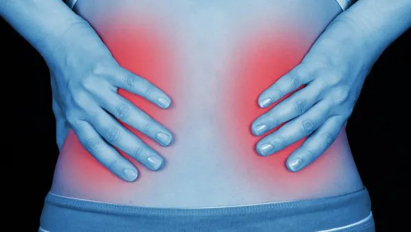 肾虚食疗吃什么