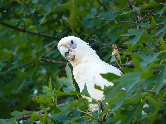 旅行途中你都见过哪些罕见的风景？