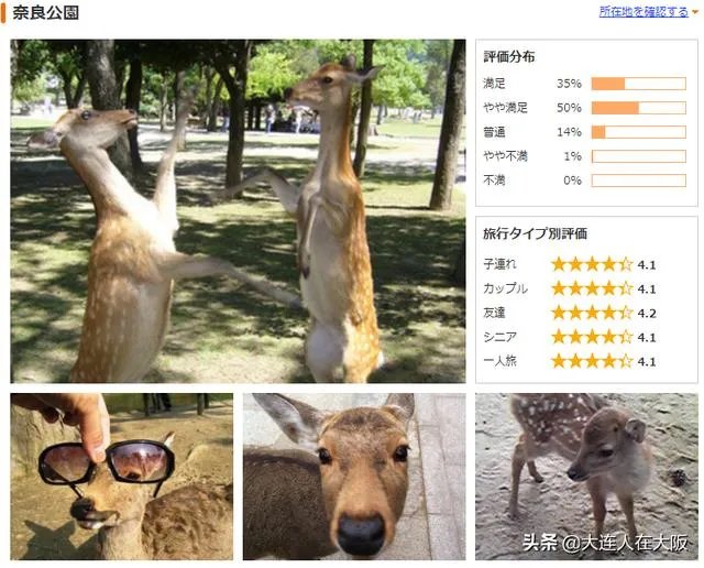 奈良的旅游成本大概是多少？如何规划？