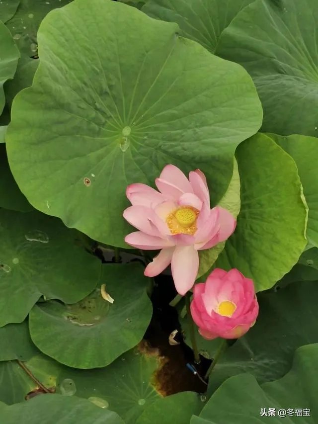 吉林省其他学段预计什么时间开学？