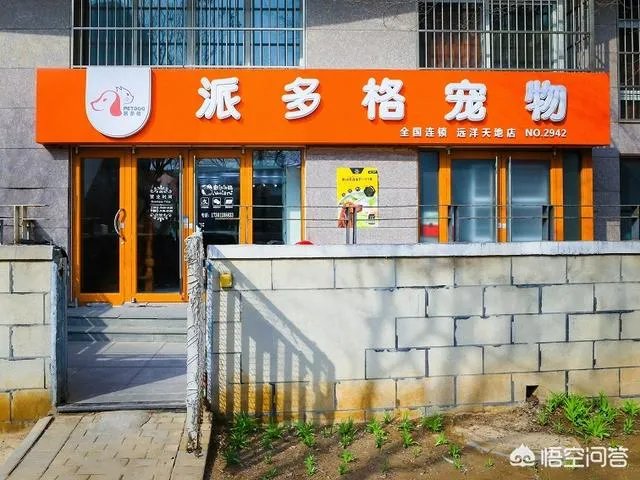 宠物店市场分析及定位怎么做?