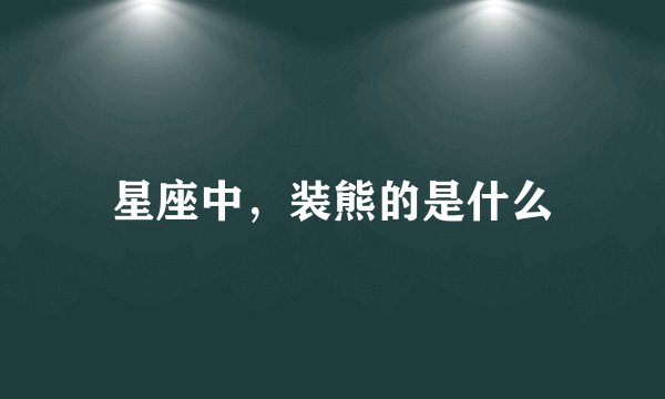 星座中，装熊的是什么
