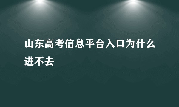 山东高考信息平台入口为什么进不去