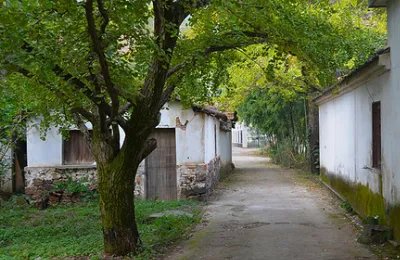 上海周边二日游有哪些路线值得推荐？