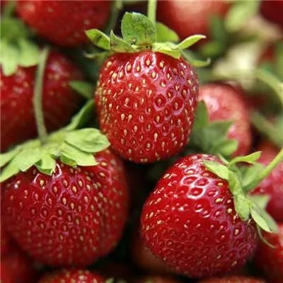 怎样瘦腰最快最有效