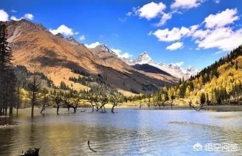 不光有银发族还有90后，赴俄旅游为何越来越火？