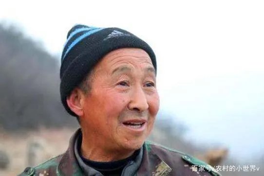 山西大爷发现“怪鸟”，坚持投喂4年，后来怎样了？