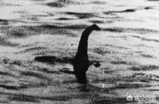 1933年后出现的“尼斯湖水怪”，真相到底是怎样的？