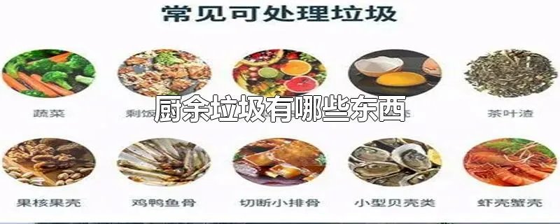 厨余垃圾有哪些东西