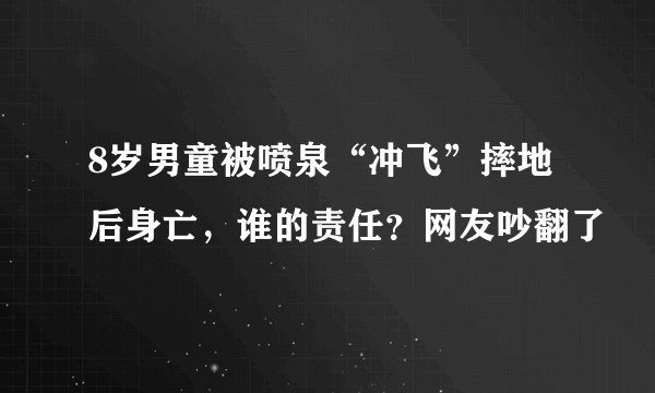 8岁男童被喷泉“冲飞”摔地后身亡，谁的责任？网友吵翻了