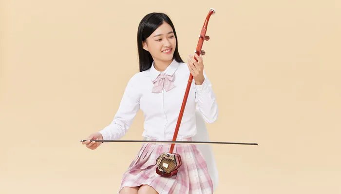 什么是乌木二胡 什么是乌木二胡啊