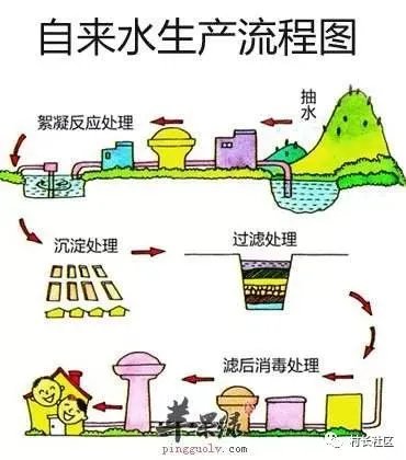 自来水不敢直接喝的举手！