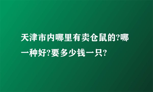 天津市内哪里有卖仓鼠的?哪一种好?要多少钱一只?