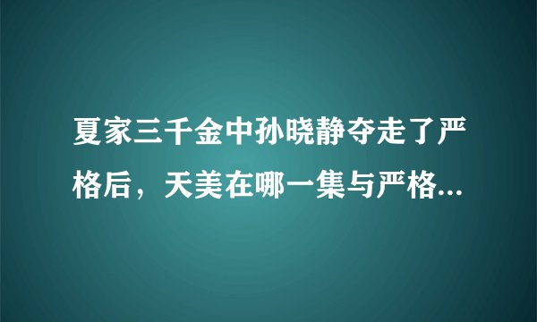夏家三千金中孙晓静夺走了严格后，天美在哪一集与严格重新在一起的？ 可以的话请简要的说一下剧情！谢谢！