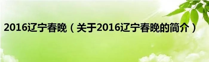 2016辽宁春晚（关于2016辽宁春晚的简介）
