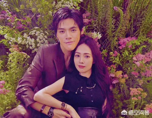 如何看待向佐和郭碧婷的恋情，你觉得他们般配吗？