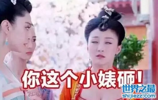 小婊砸就是小婊子的意思，熟人之间却用来调侃 